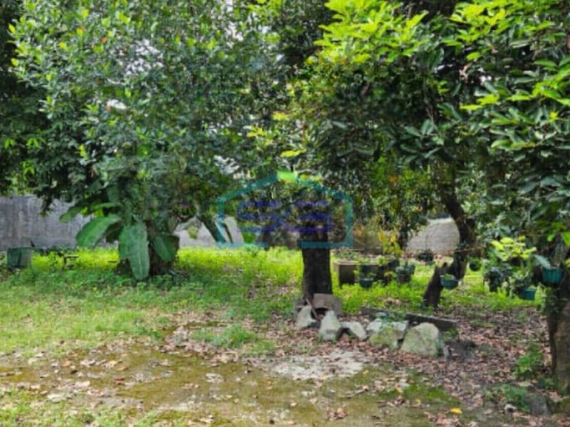 Dijual Tanah Di Jalan Raya Cipayung Jakarta Timur Luas Tanah 1300m2