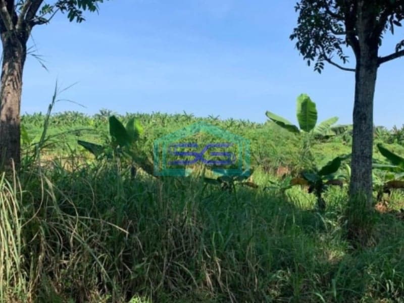 Dijual Tanah di Pusat Kota Cianjur Lokasi Strategis Jalan Lebar LT 27000m2