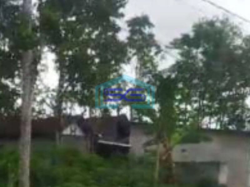 Dijual Tanah Lokasi Ampel Boyolali Luas 20000 m²