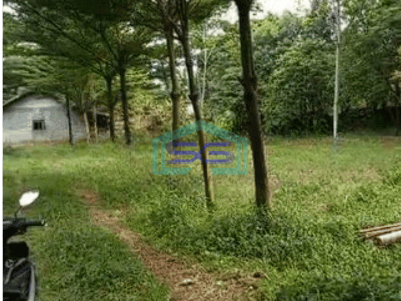 Dijual Tanah Kavling Siap Bangun di Daerah Bogor LT 30000m2