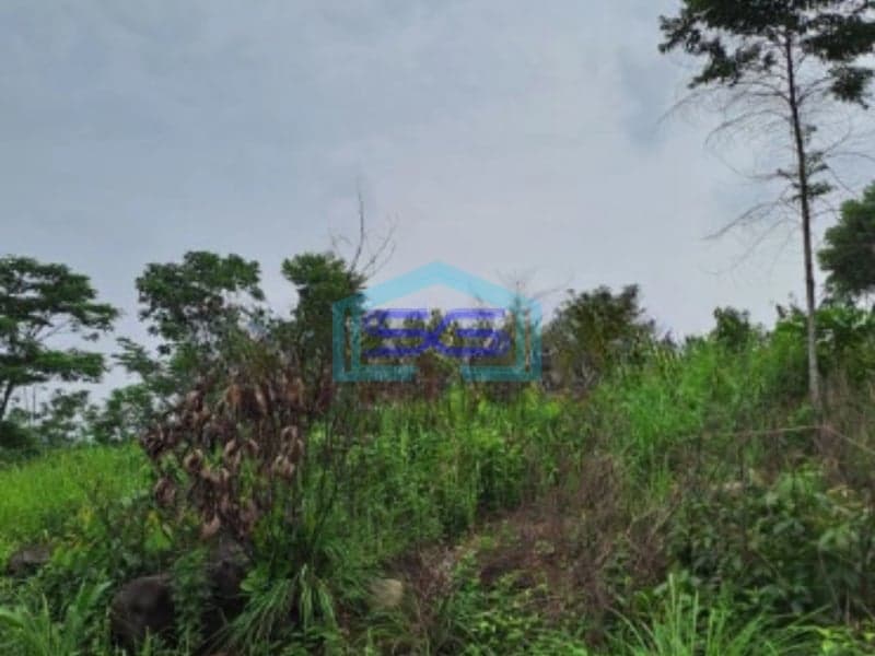 Dijual Tanah Leuwiang Lewisadeng Bogor Luas Tanah 120000m2