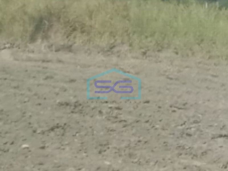 出租土地SHM证书靠近泗水收费站通道东爪哇