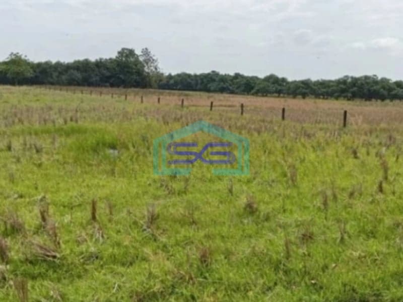 Dijual Tanah Kavling Industri di Subang Jawa Barat Pinggir Jalan Raya LT 300 Ha