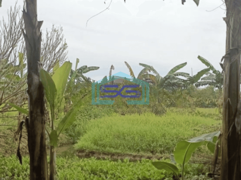 Dijual Kavling siap Bangun dan dekat lokasi gudang dan pabrik di Narogong Luas Tanah 9335 m²