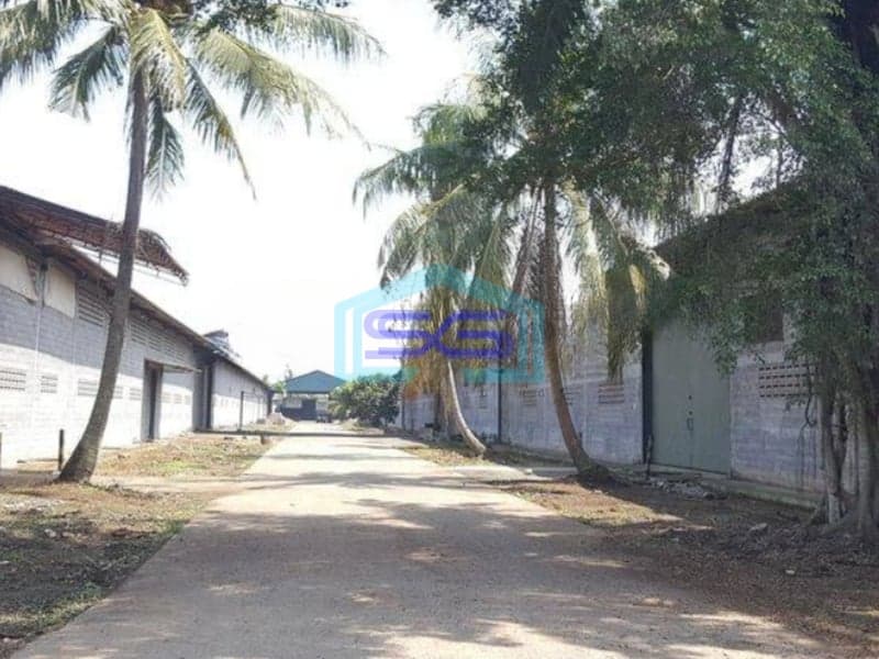 Disewakan Gudang Fasilitas Jembatan Timbang Dijalan Utama Balaraja Tangerang LT 2000m2