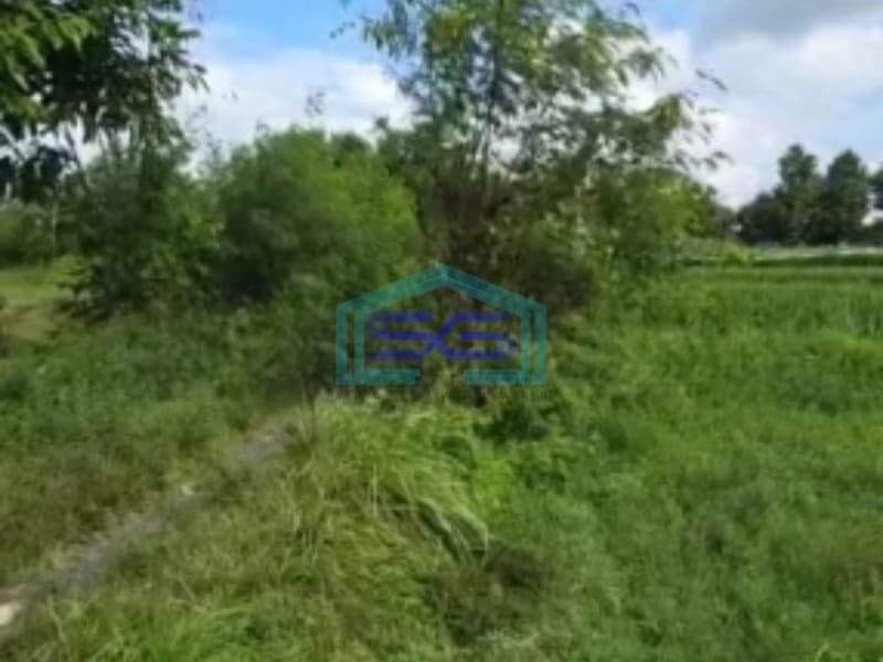 Dijual Tanah Bebas Banjir Luas Tanah 1570m2 di Daerah Gianyar Bali