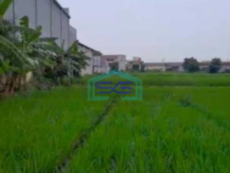 Dijual Tanah Siap Bangun Di Serang Banten Luas Tanah  80000 m²