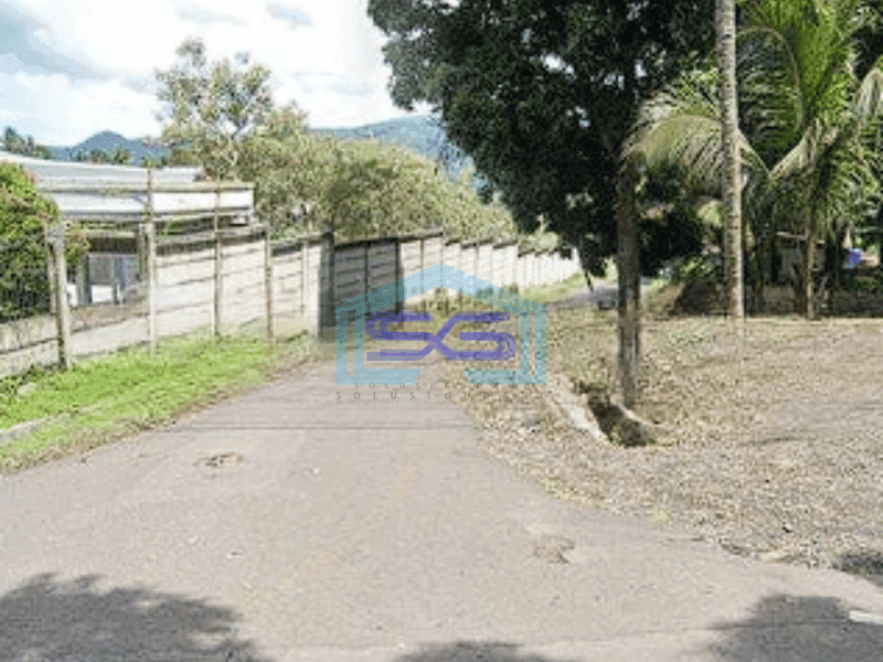 Dijual Tanah 5000m2 Samping Gudang Alfamart Cocok Buat Gudang Ekspedisi Minahasa