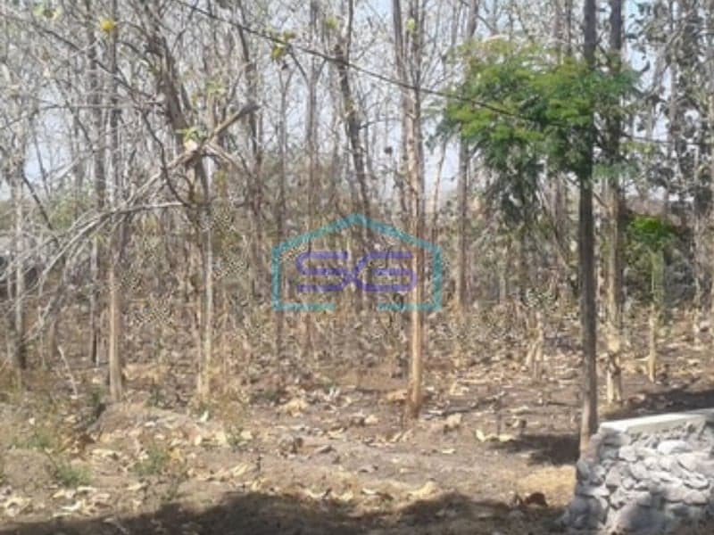 Dijual Tanah Luas 4300 m² Lokasi di Sukoharjo Sertifkat SHM