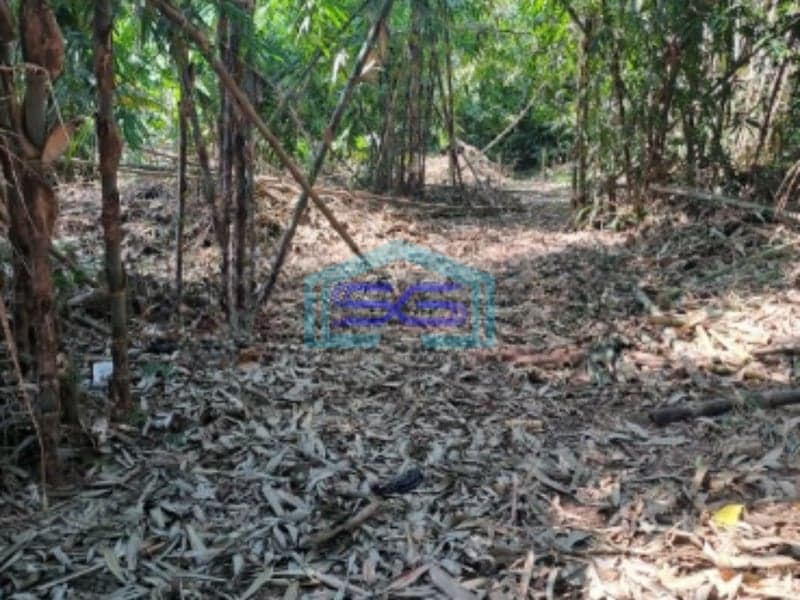 Dijual Tanah Di Rumpin Bogor Luas Tanah 1800m2