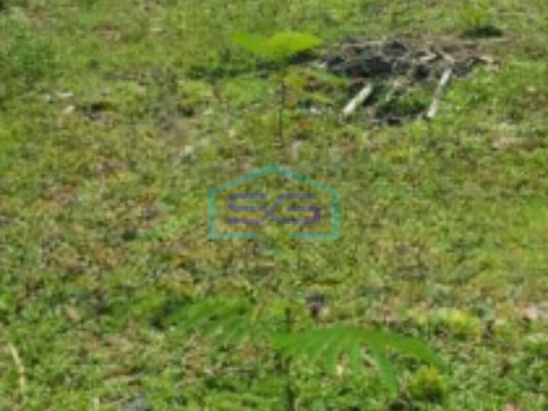For Sale: Spacious Land of 14955 m² in Bogor, West Java