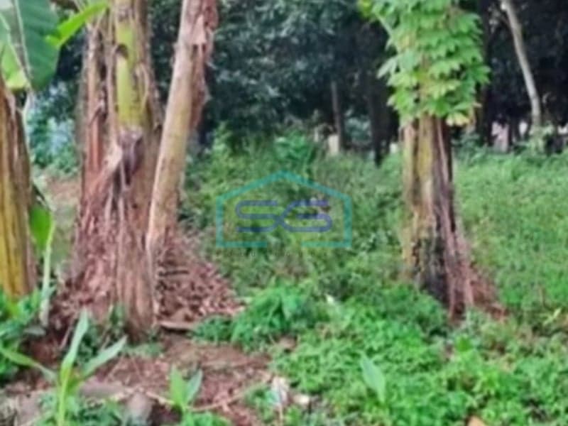 Dijual Tanah Luas 2466 m² Lokasi di Semarang Jawa Tengah
