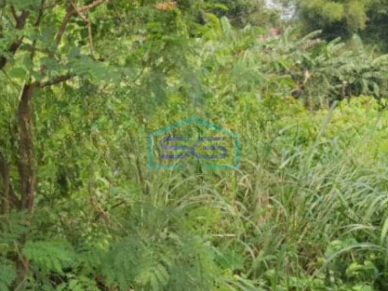 For Sale Land on Main Road Tangerang Selatan Freehold Certificate