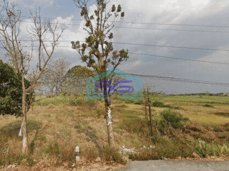 Dijual Tanah Industri Sawo, Jetis Mojokerto Hanya 4.5 km Dari Exit Tol Gedek