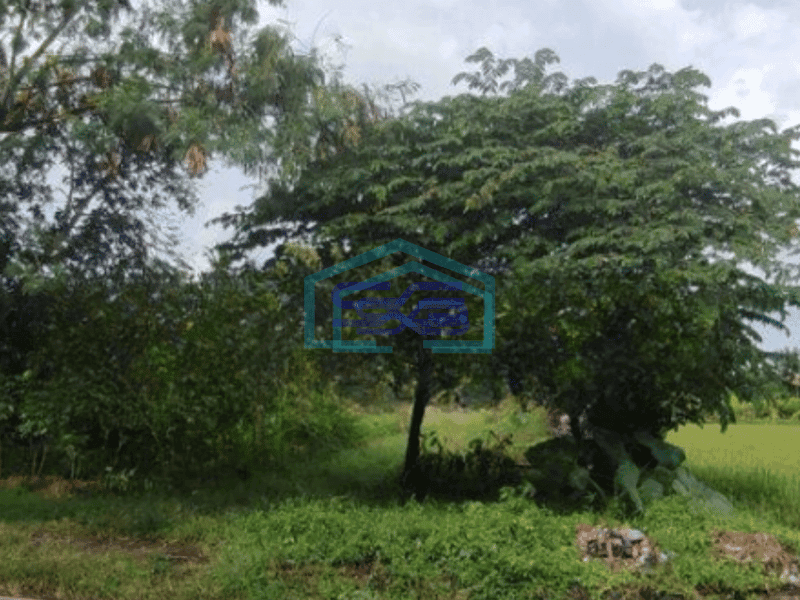 Dijual Tanah Luas 2750 m²  di Ngaglik Sleman Yogyakarta
