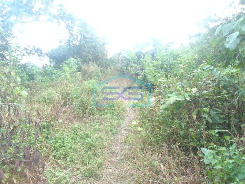 Dijual Tanah Siap Bangun Kota Palembang, Sumatera Selatan LT 24224m2