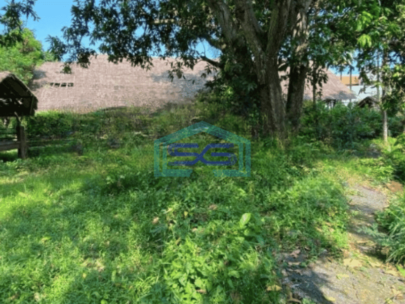 Dijual Tanah Luas 2500 m² di Ubud Gianyar Bali
