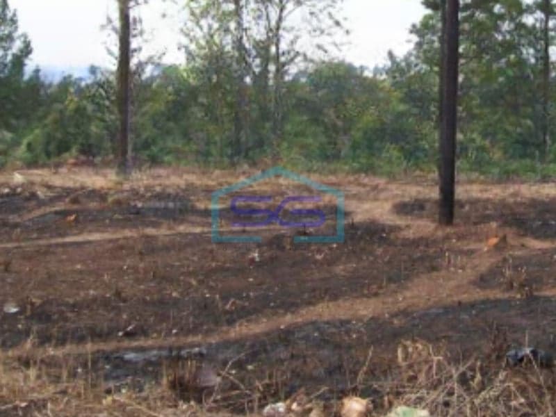 For Sale: Strategic Land in Subang, West Java
