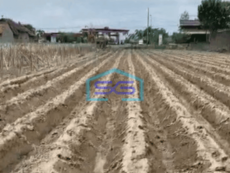 Dijual tanah murah nol jalan di kediri