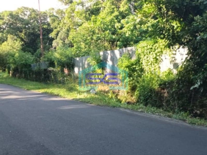 Dijual Tanah di Jl Manado Bitung Desa Treman Dekat Gudang Unilever Kauditan, Minahasa Utara Luas Tanah (PxL)  20000 m²