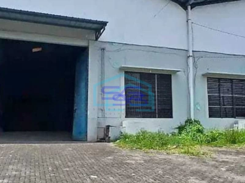 Disewakan Gudang Dekat Ring Road 1 Tikela Cocok Buat Ekspedisi Cargo Tikala, Manado Luas Bangunan  420 m²