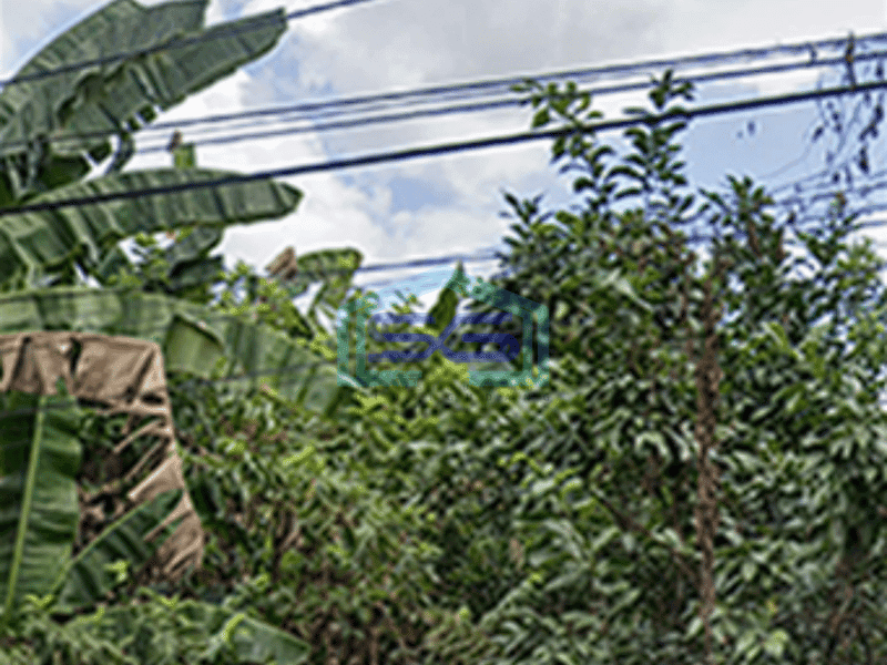Dijual Tanah di Sukamaju KM 7 Palembang Luas Tanah 1541m2