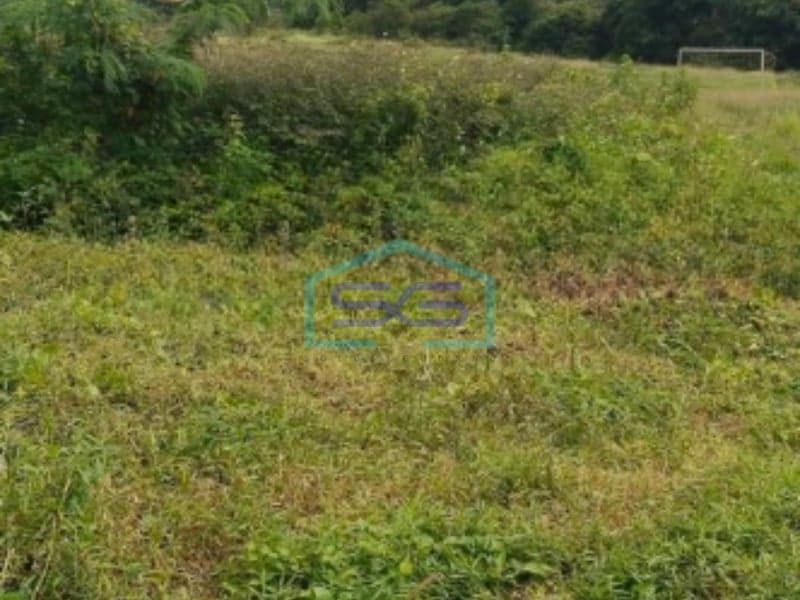 Dijual Tanah Luas 35000 m² Bebas Banjir di Jayanti Tangerang