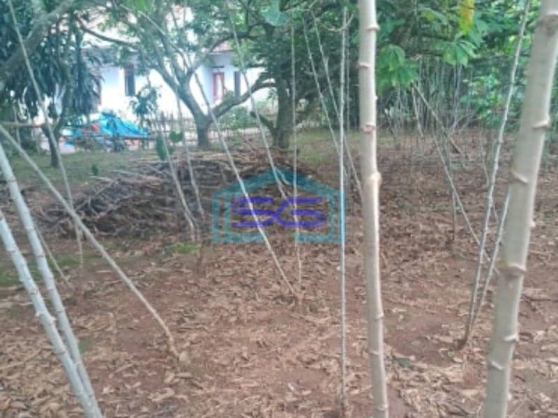 Dijual Tanah di Cibeteng Udik Ciseeng Bogor Luas Tanah 2000m2