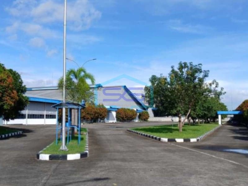 Neat, Ready-to-Use Warehouse for Rent in Ciruas Serang Banten Building Area 14400m²