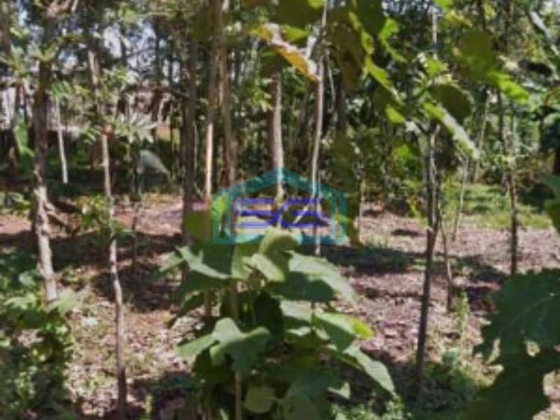 Dijual Lahan Tanah Zona Industri Lokasi Mayong Jepara Jawa Tengah Luas 30000m2