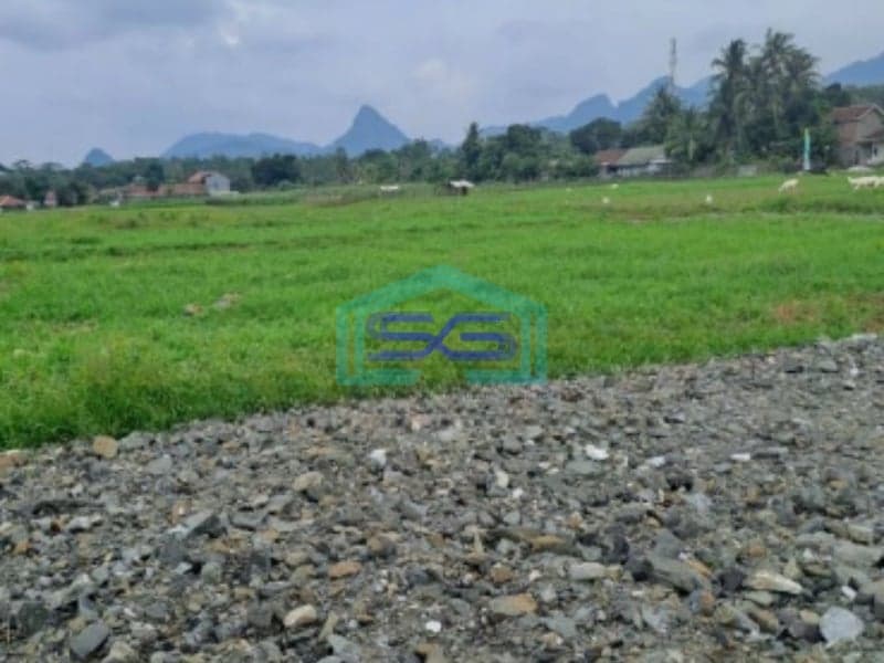Dijual Tanah di Daerah Cariu Tanjungsari Bogor Timur LT 15000m2