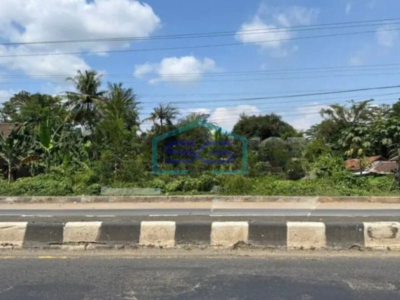 Dijual Tanah di Raya Batang Weleri Jawa Tengah Luas Tanah 200000 m²
