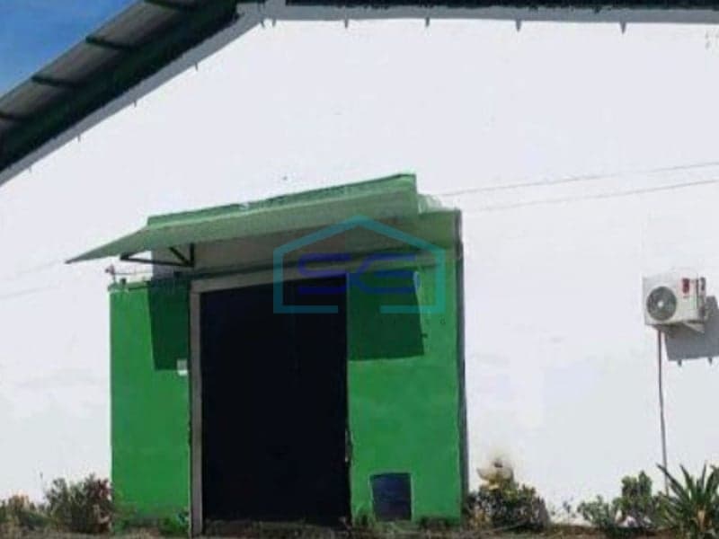 Disewakan Gudang Siap Pakai Lokasi Tangerang Bitung Jatake Kondisi Bagus