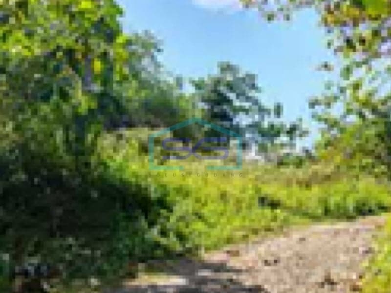 日惹 Gunung Kidul 土地出售 2904 平方米