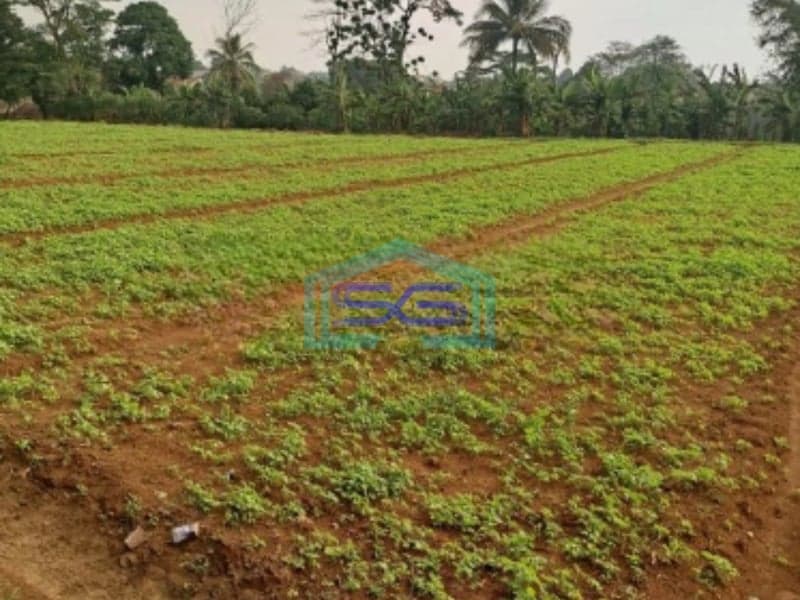 Dijual Tanah Di Bojong Kopasus Kemang Bogor Luas 4500m2