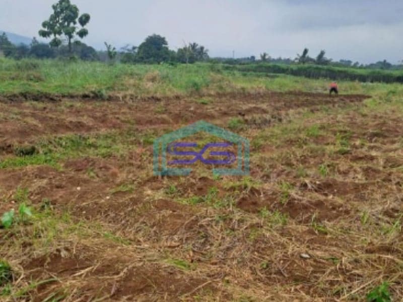 Dijual Tanah di Ci Bening Pamijahan Bogor Luas Tanah 72000m2