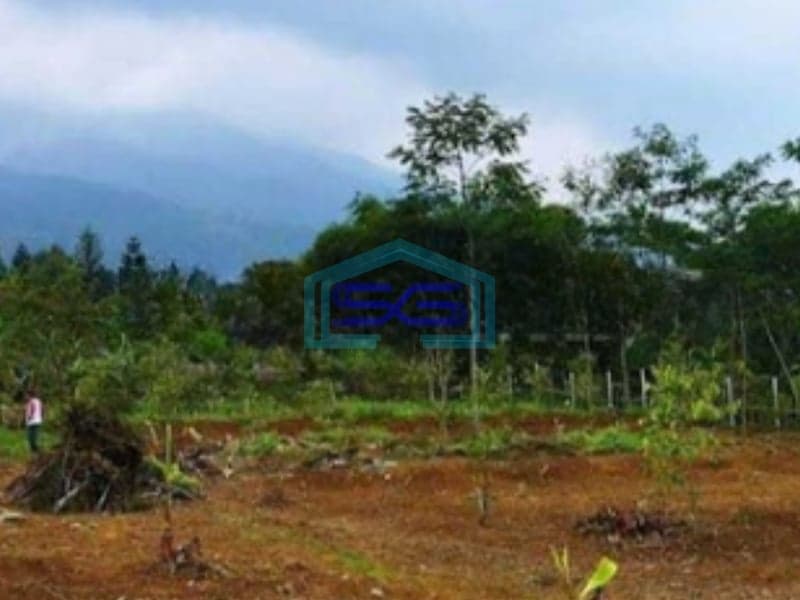 Dijual Tanah Kavling Siap Bangun di Ciapus Tamansari Bogor LT 2000m2