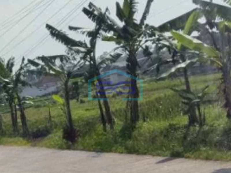 Dijual Tanah Luas 10000 m² Sertifikat SHM Bebas Banjir di Cikande Serang