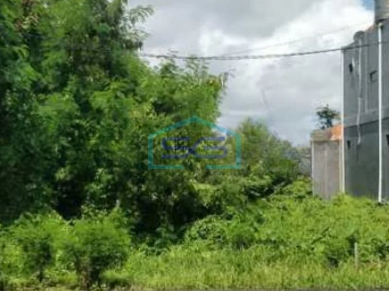 Cheap Land for Sale on Mainroad Canggu, Bali Land Size 2525 m²