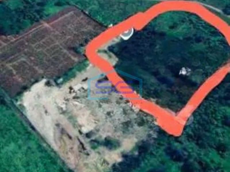 For Sale Land Plot Roadside Tegal Barat, Tegal Central Java Land Area 74000 m²