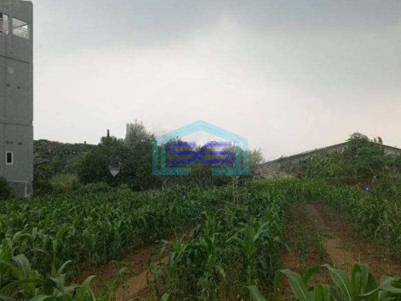 Dijual Tanah Gudang Wringin Anom Gresik Kawasan Industri LT 13591m2