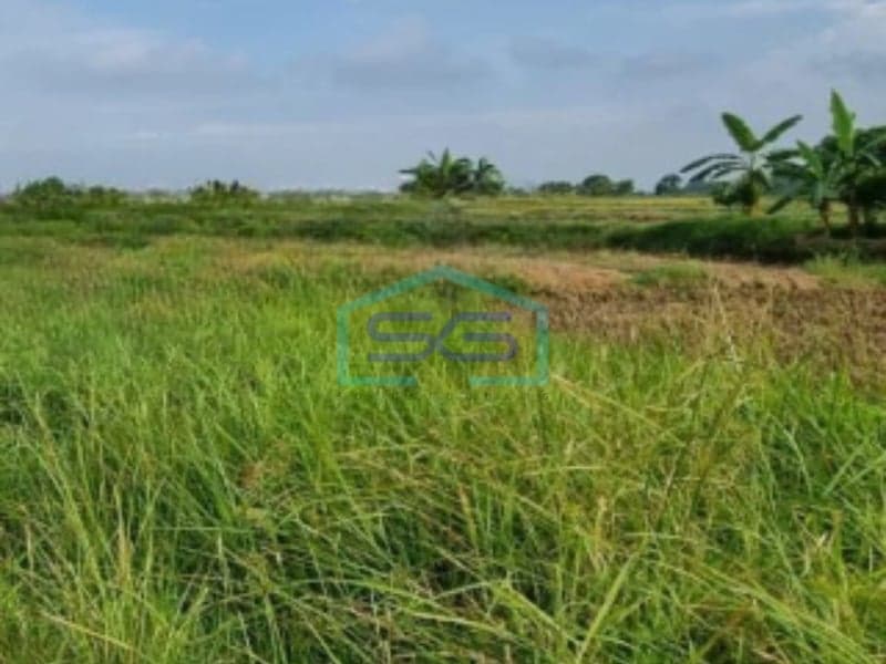 Land for Sale in Cikande Serang Industrial Area