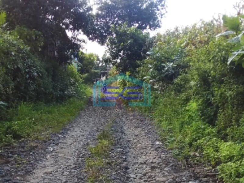 Dijual Tanah di Sidomukti Weleri Kendal bisa buat perumahan Luas Tanah 3810m2