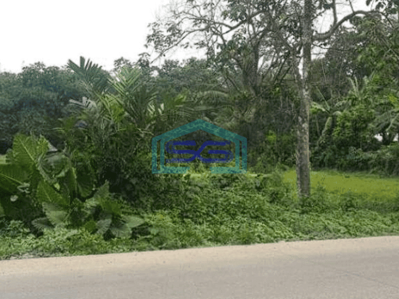 Dijual Tanah Lokasi di Cikupa Luas 3 Ha Tangerang