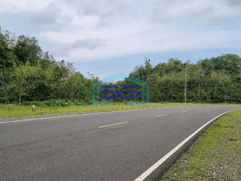 Dijual Tanah Murah Area Girisubo Gunung Kidul Yogyakarta LT 17500m2