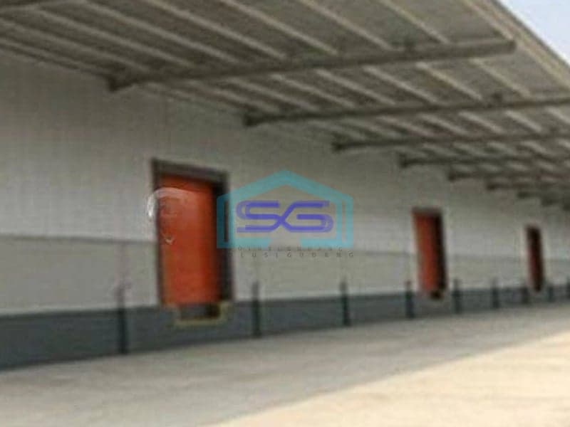Disewakan Stok Terbatas Gudang LB 8319m2di Kawasan Industri Delta Silicon 6 Lippo Cikarang Bekasi