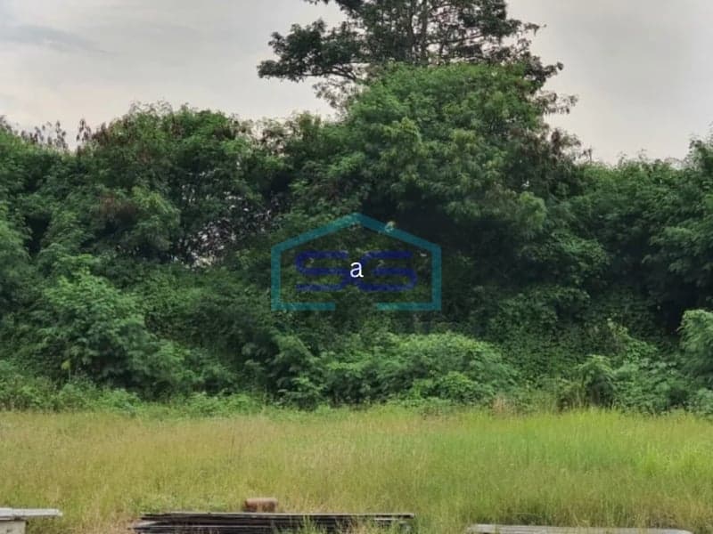 Dijual Tanah Kavling di Rangkasbitung, Jawa Barat Dengan Luas 35.000 m2