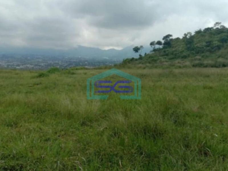 Dijual Tanah Bagus di Cipanas Cianjur Luas Tanah 50000m2