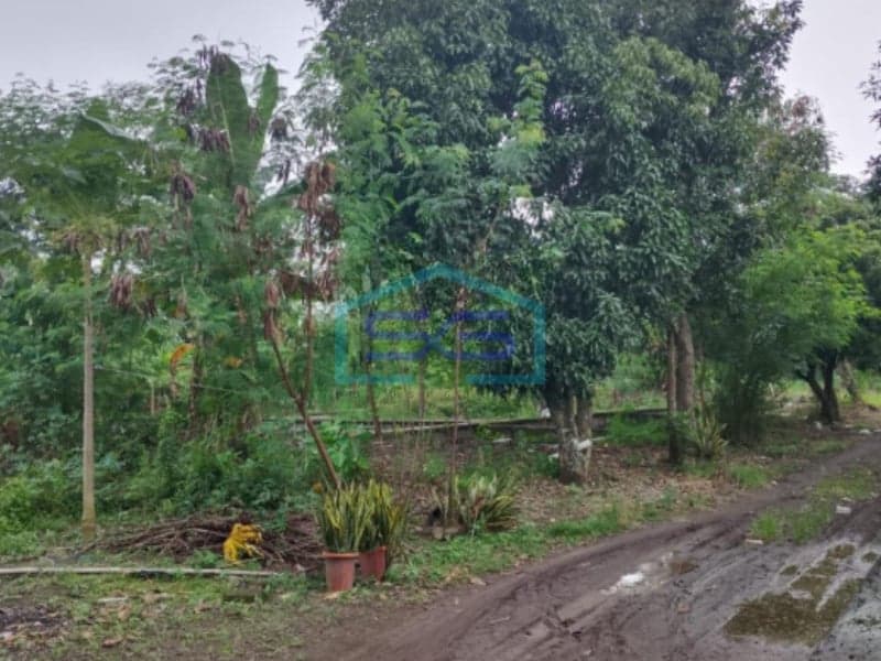 Land for Sale in Tuban Kulon, Karanganyar 18,070 sqm