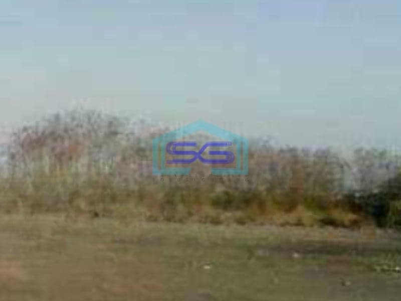 Disewakan Tanah 40000 m² Lokasi Manyar Gresik